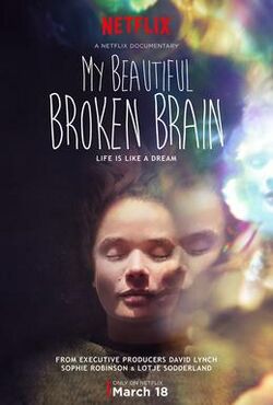 My Beautiful Broken Brain poster.jpg