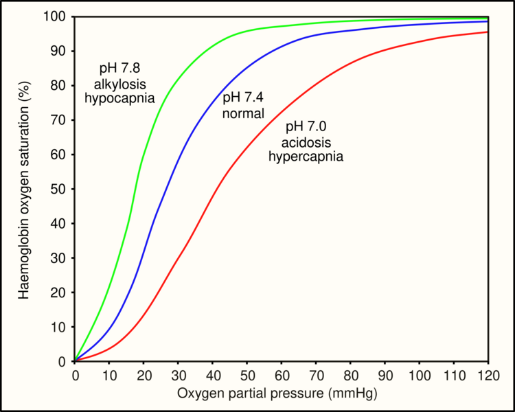 File:Oxygen-Haemoglobin dissociation curves.svg