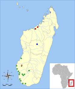 Map of Madagascar, off the southeast coast of Africa, with two red dots in the north of the island, one blue dot near the middle, and fifteen green dots in the southwest and west parts of the island. There is also one blue explanation mark in the extreme northwest and a red explanation mark in the southwest.