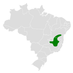 Phylloscartes roquettei map.svg