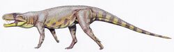Polonosuchus silesiacus (2).jpg