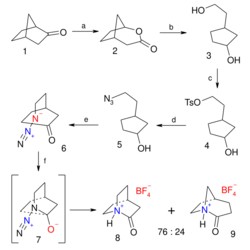 Quinuclidone synthesis norcamphor.svg
