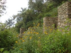 Ruins and flowers 1.JPG