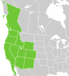Symphyotrichum frondosum distribution map: Canada — British Columbia; Mexico — Baja California; US — Arizona, California, Colorado, Idaho, Nevada, New Mexico, Oregon, Utah, Washington, and Wyoming.