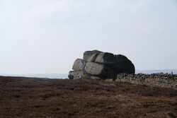 The Hitching Stone from the east - geograph.org.uk - 1662102.jpg