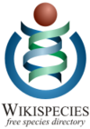 The current Wikispecies logo