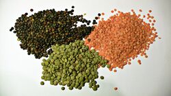 photo of three piles of legume seeds coloured brown, pea green, and brown/orange