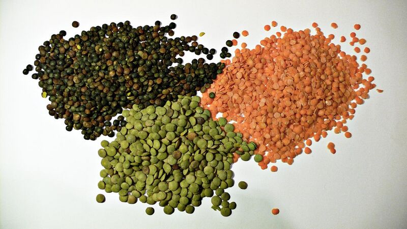 File:3 types of lentil.jpg