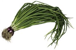 CSA-Red-Spring-Onions.jpg