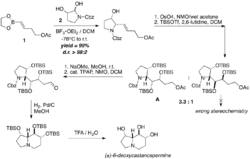 Deoxycastanospermine synthesis.png