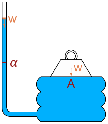 File:Diagram illustrating the hydrostatic paradox.svg