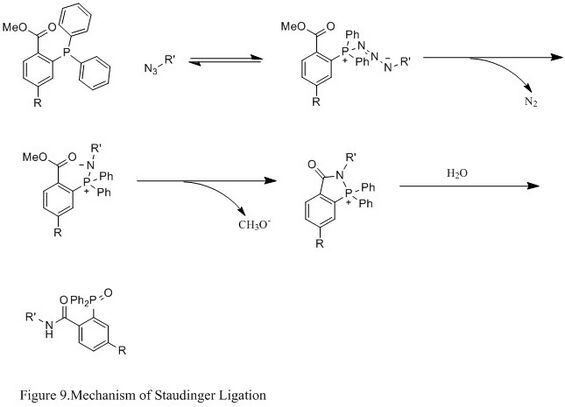 Figure 9. Mechanism of Staudinger Ligation.jpg