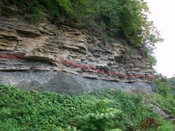 An outcrop of Clinton Group Strata exposed at Seth Greene Drive in Rochester New York. Pictured is the Reynales Limestone overlying the Maplewood Shale. The prominent bright red band is the Furnaceville (Ironstone) Member of the Reynales.