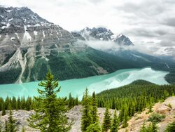 Peyto Lake (7631770462).jpg