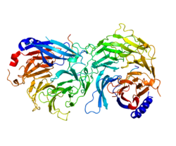 Protein RBBP4