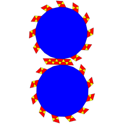 Rectified dodecagonal antiprism net.png