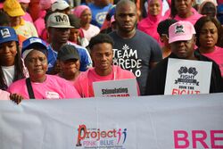 Walk against Cancer in Abuja.jpg