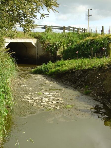 File:Water pollution in the Wairarapa.JPG