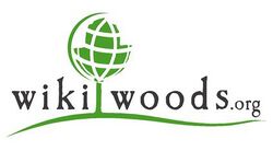 Wikiwoods-logo-2688x1488.jpg