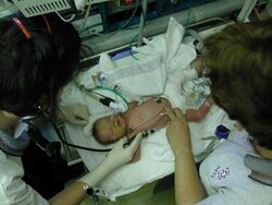 A newborn stabilised and ready for transport.jpg