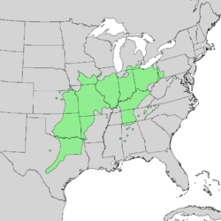 Aesculus glabra range map 1.png