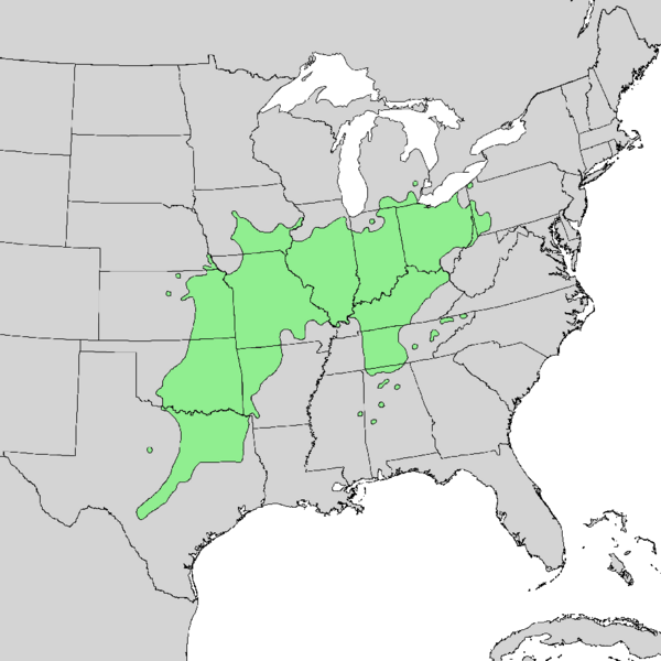 File:Aesculus glabra range map 1.png
