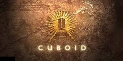 Cuboid video game cover.jpg