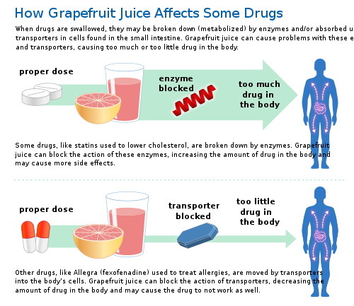Grapefruit Juice and Medicine May Not Mix (6774935740) - en.svg