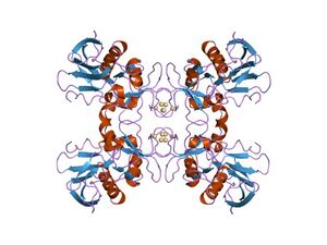 Cartoon representation of the molecular structure of SPEA1.