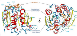 PETase active site.png