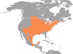 Peromyscus leucopus range map.png