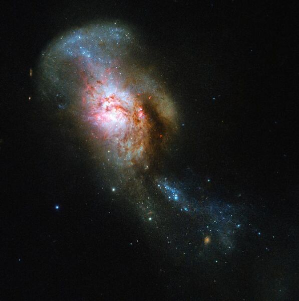 File:Snakes and Stones NGC 4194.jpg