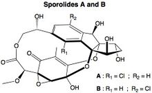 Sporolides A and B.jpg