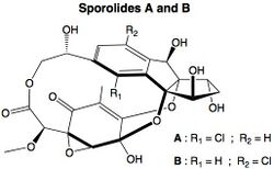 Sporolides A and B.jpg
