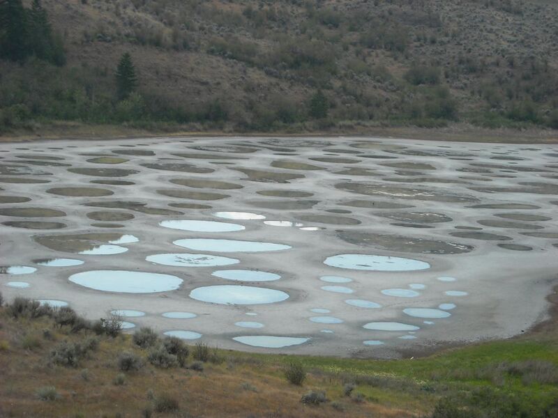 File:Spotted Lake close-up.jpg
