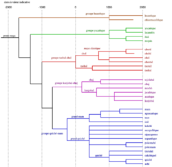 Tree of maya languages.svg