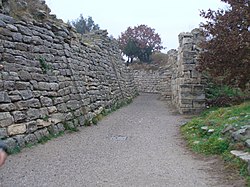 Troy walls VII and IX.jpg