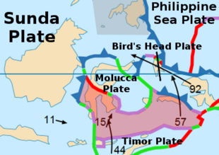The Banda Sea Plate