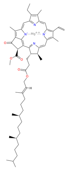 Structure of chlorophyll a