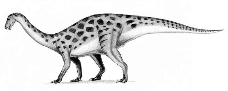 File:Erlikosaurus.jpg