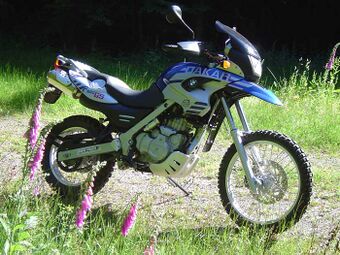 Blue and white F650GS Dakar bike parked on open ground with tall grass and foxglove flowers