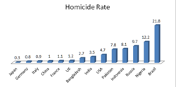 Homicide Rate.png