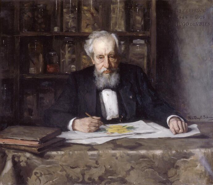 File:Hugo de Vries (1848-1935), by Thérèse Schwartze (1851-1918).jpg