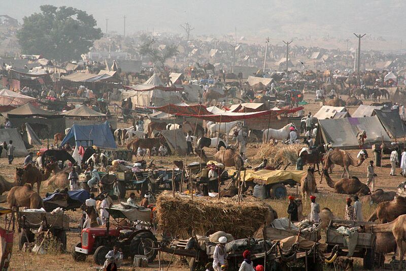 File:Inde pushkar foire.jpg