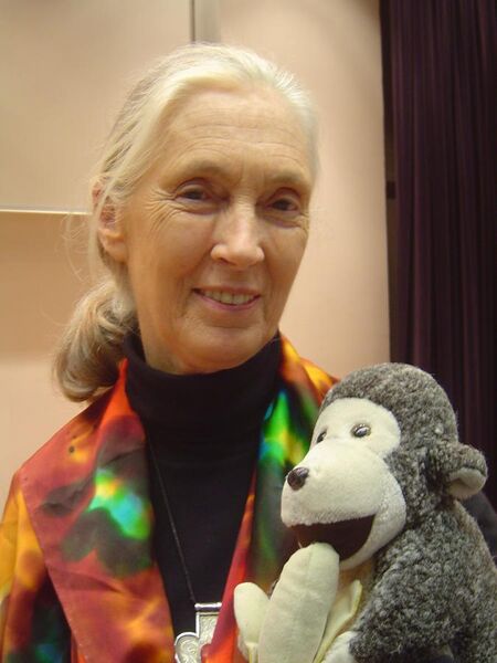 File:Jane Goodall HK.jpg