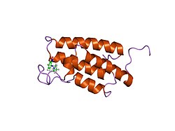 PDB 1wum EBI.jpg