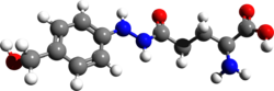 Agaritine 3d structure.png