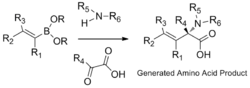 Alphaaminoacidsynthesis.png