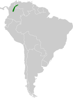 Anoura luismanueli map.svg