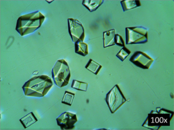 Crystals KClO4.png